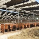 하향농장 이미지