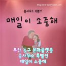부산전시회 동구 문화플랫폼 봄사무소 특별전 매일이 소중해 관람 후기