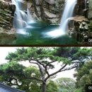 동산조경개발 이미지