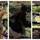 대원태양광발전소 이미지