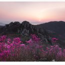 산울림 관광농원 이미지