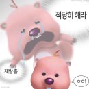 240908 땡볕 2시 경기 직관 후기😭 스윕당하고 더위먹음 (광주 기아챔피언스필드 1루 K8 109블록 24열 14번)