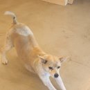 스테이246 이미지