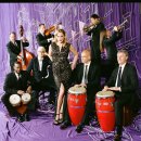 PINK MARTINI(핑크 마티니) 이미지