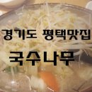 국수나무안중 이미지