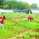 녹지농장 이미지