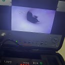 번개세탁소 | 하수구 막힘 역류 해결하는 번개배관케어 선택 기준과 예방 팁