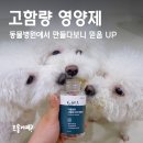 산책동물병원 | 강아지피부영양제 간식처럼 급여하는 마음반려동물병원 고함량영양제 후기