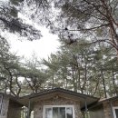 양양 바다캠핑장 방갈로 이용 후기