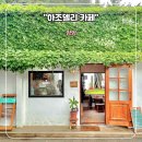 강원도 양양 민박 하조델리 카페까지 운영 후기