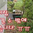 꽃님이 이미지