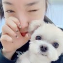 네일 생각