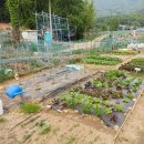 삼송농장 이미지