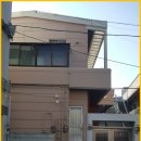 솜사탕 애견미용실 이미지