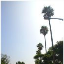 서귀동-43 이미지