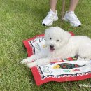 다사종합동물병원 이미지