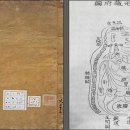 안승열의 명리학 다가가기 09 | 심리와 체질로 음인과 양인을 구별한다 이미지