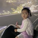 청자기와집 | 버찌 +1696 (4) 대구 간송미술관 상설전시 / 국보 청자상감운학문매병, 백자청화철채동채초충난국문병