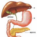 코로나 조심 마스크 잘씁시다 이미지