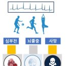 세동 이미지