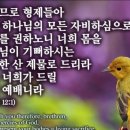 방추 이미지