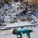 꼬리흔들 유치원 이미지