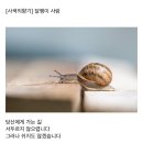 오늘의 小史 이미지