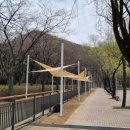 그늘막24 이미지