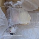 카에루몰 스무번째 이용 후기