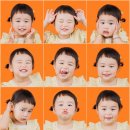 정을담따 | 세돌 기록 사진 실패없는 배곧 담따필름 임산부 바지