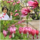 경포호수 4 이미지