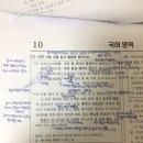탐진어가 이미지