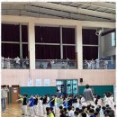 브레인박사태권도 이미지