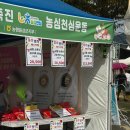 충북인삼농협 | 2025 음성 명작 페스티벌 방문 후기 (2번째방문)