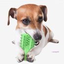 초록애견샵 이미지