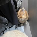 남동대로 733번길 이미지