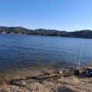 절골민물장어 이미지