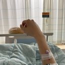 후전 | 간 이식 공여자 수술 전 후기 [1]