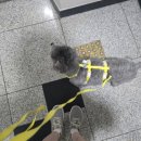 풍산권투체육관 이미지