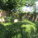 순천고등학교 이미지