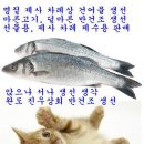 완도상회 이미지
