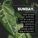 11월 02일 일요일 미래 정 대문을 활짝 열어봅니다 이미지