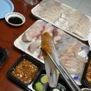 어풍선어&활어