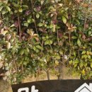 맘 편한집 이미지