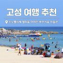 바우매점 | 고성 여행 아야진해수욕장 바우지움 조각미술관 소노펠리체 델피노 "실패없는코스"