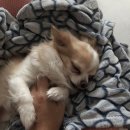 계명대학교 대학원 이미지