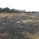 효성목장 이미지