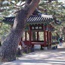 의림지-04 이미지