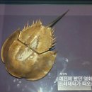 몬스시 이미지