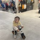 퍼니초이스 이미지